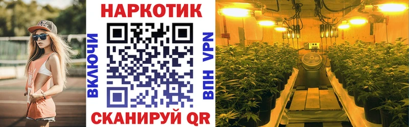 Как найти наркотики Сурск hydra маркетплейс Меф Амфетамин Гашиш Кокаин