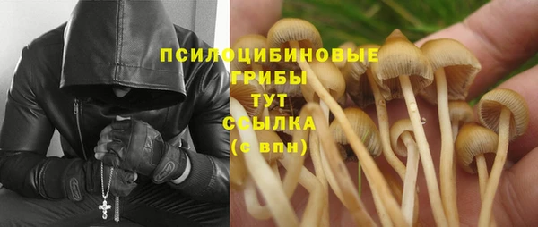 тгк Абдулино
