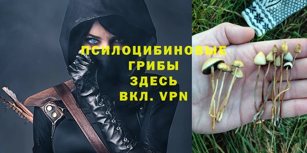 тгк Абдулино