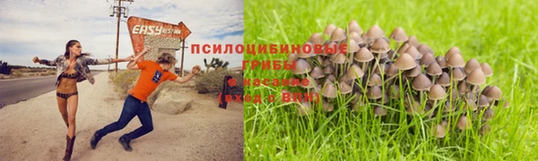 кристаллы Абинск
