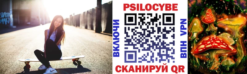 Псилоцибиновые грибы Psilocybe  Сурск 